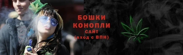 молекула духа Янаул