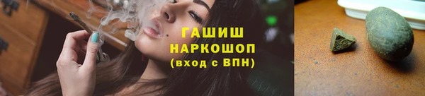 стаф Медногорск