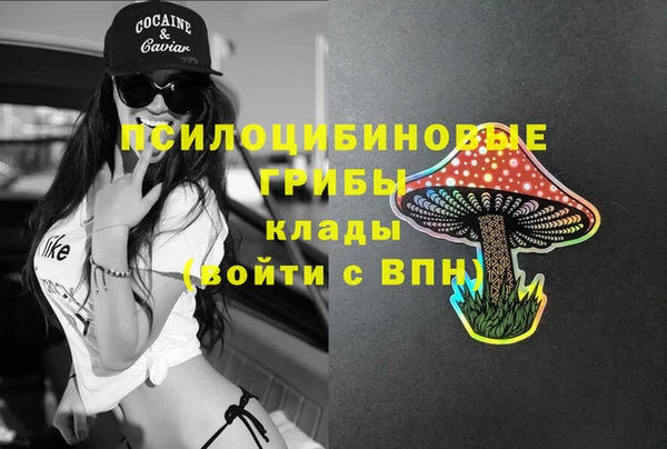 2c-b Михайловск
