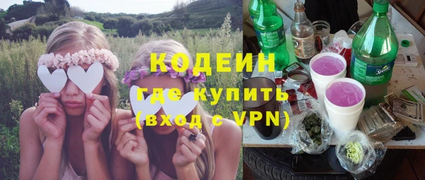 стаф Медногорск