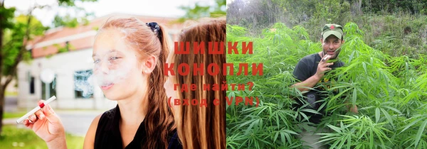 МДПВ Струнино