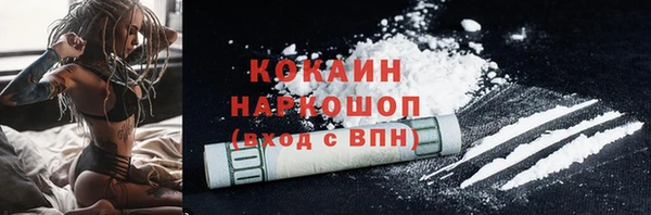стаф Медногорск