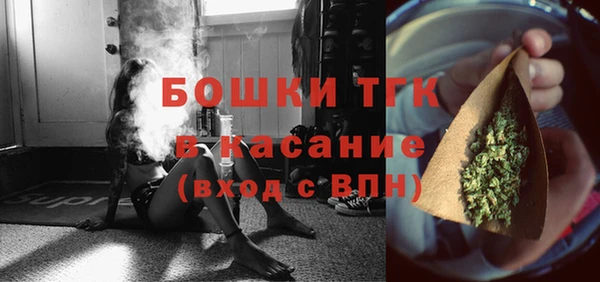 стаф Медногорск
