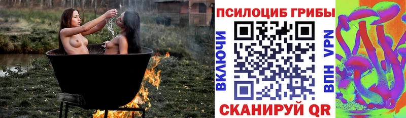 Псилоцибиновые грибы Psilocybe нарко площадка формула Оханск mega зеркало